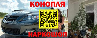 шишки Партизанск