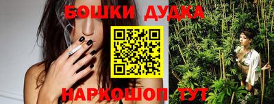 шишки Партизанск