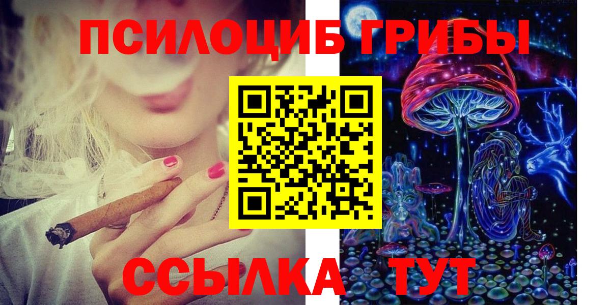 Псилоцибиновые грибы Psilocybine cubensis Усинск