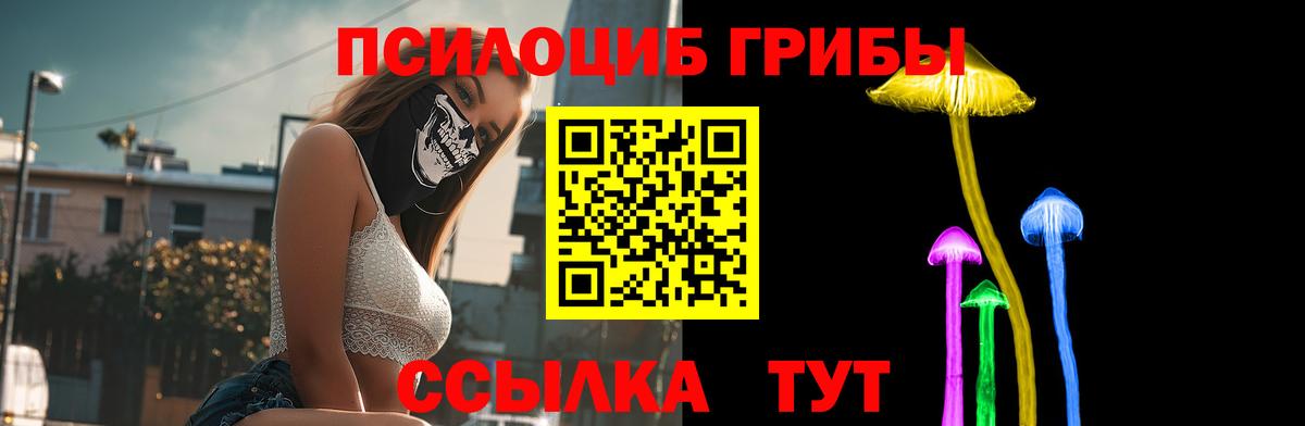 Псилоцибиновые грибы Psilocybe  Вход с VPN  Усинск 